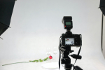 Photos
